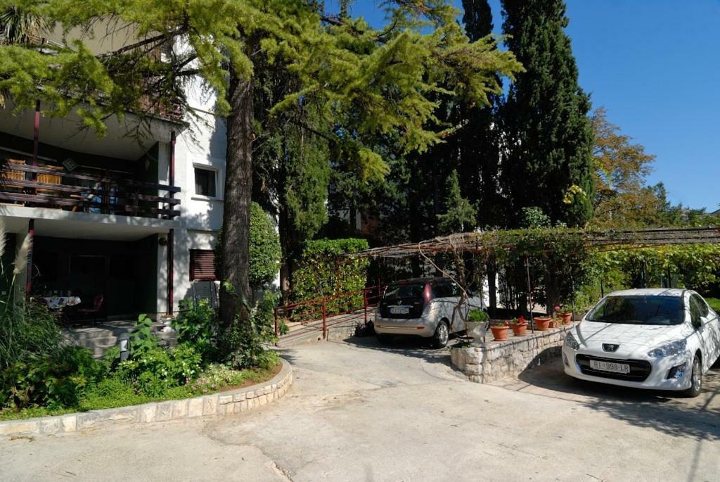 Apartments Sabina - 100M From Sea Crikvenica Exteriör bild